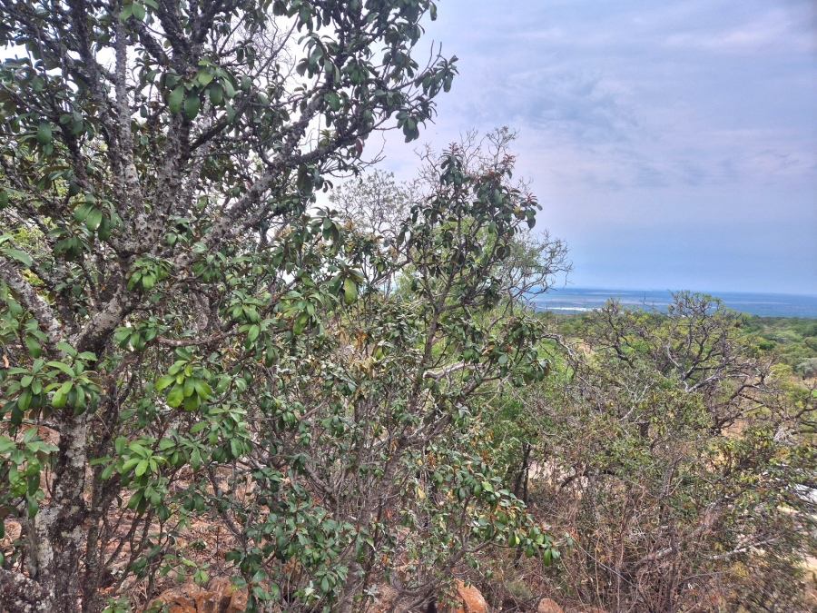 0 Bedroom Property for Sale in Euphoria Golf Estate Limpopo