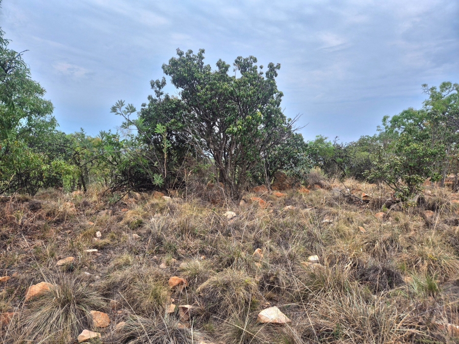 0 Bedroom Property for Sale in Euphoria Golf Estate Limpopo