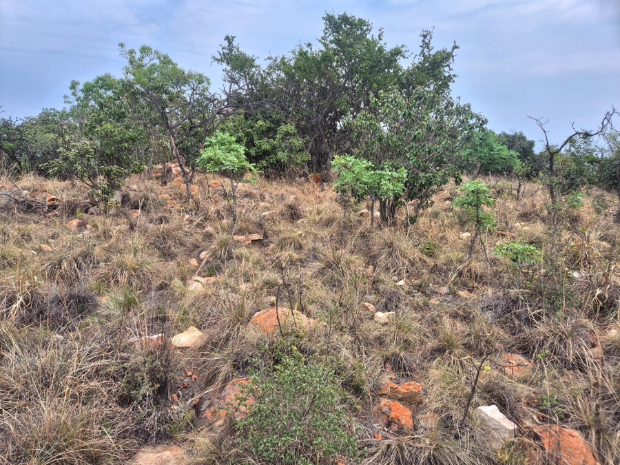 0 Bedroom Property for Sale in Euphoria Golf Estate Limpopo