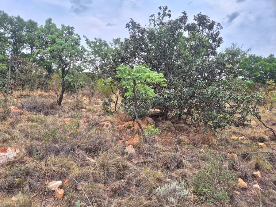 0 Bedroom Property for Sale in Euphoria Golf Estate Limpopo