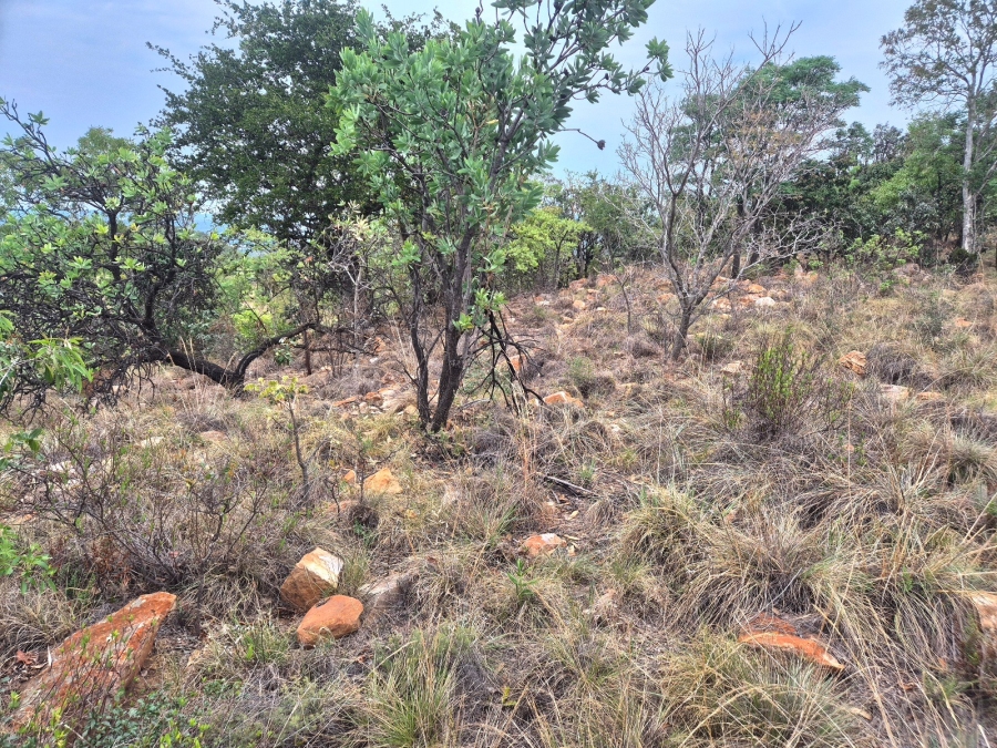 0 Bedroom Property for Sale in Euphoria Golf Estate Limpopo