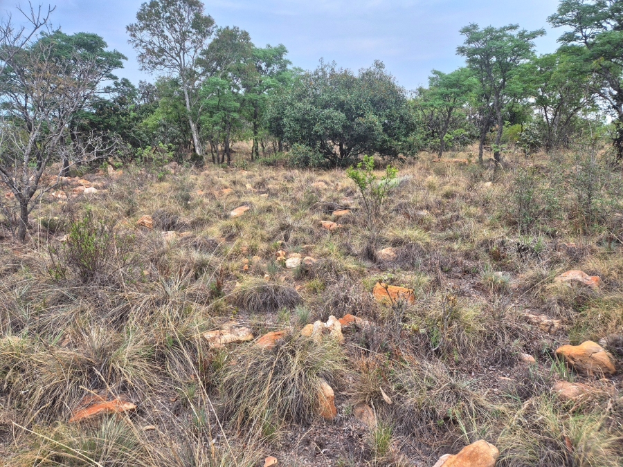 0 Bedroom Property for Sale in Euphoria Golf Estate Limpopo