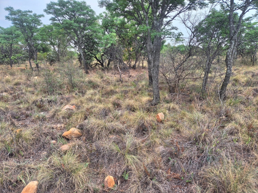 0 Bedroom Property for Sale in Euphoria Golf Estate Limpopo