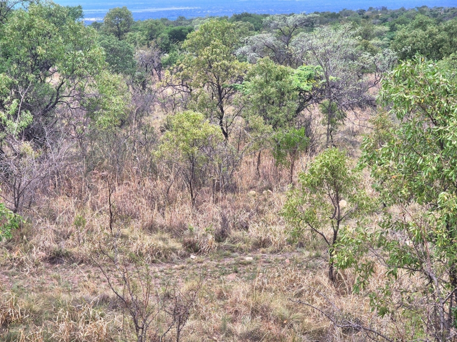 0 Bedroom Property for Sale in Euphoria Golf Estate Limpopo