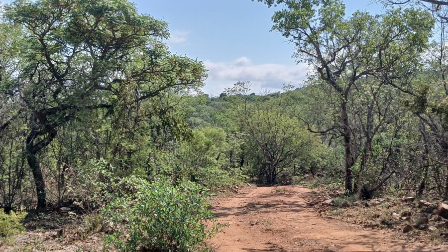 4 Bedroom Property for Sale in Rooiberg Limpopo