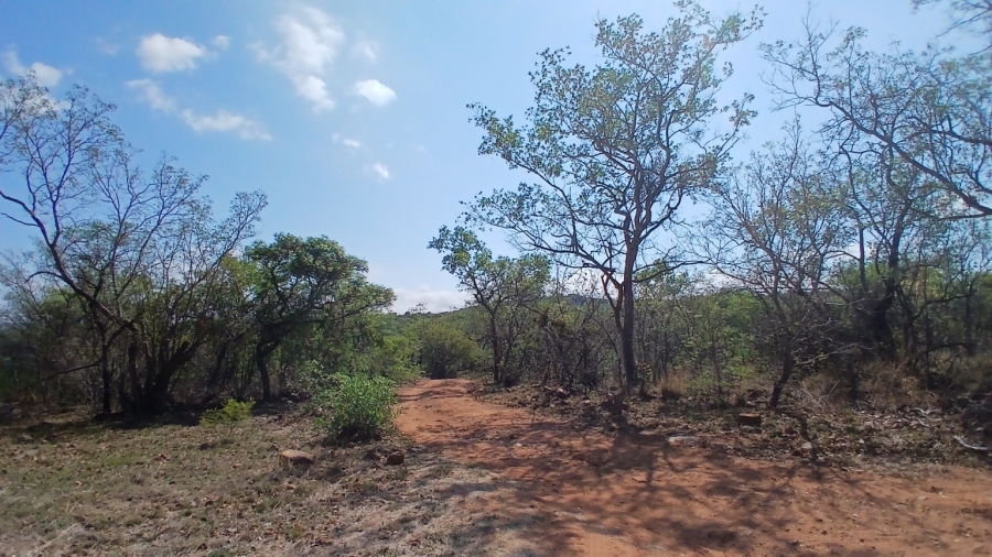 4 Bedroom Property for Sale in Rooiberg Limpopo