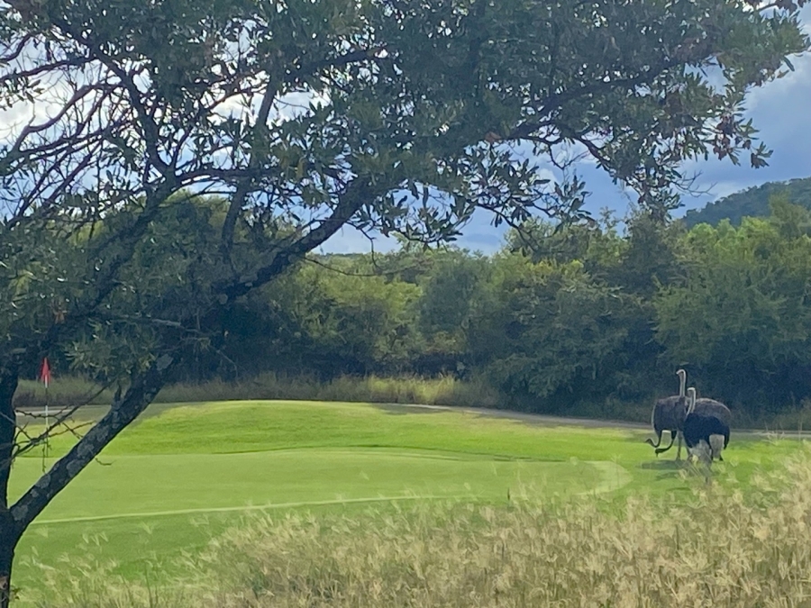 4 Bedroom Property for Sale in Euphoria Golf Estate Limpopo