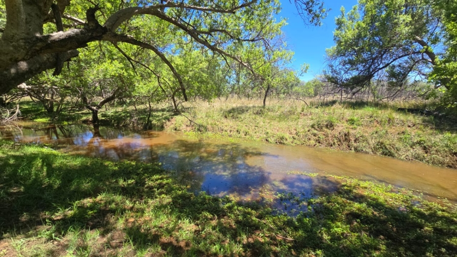 7 Bedroom Property for Sale in Bela Bela Limpopo