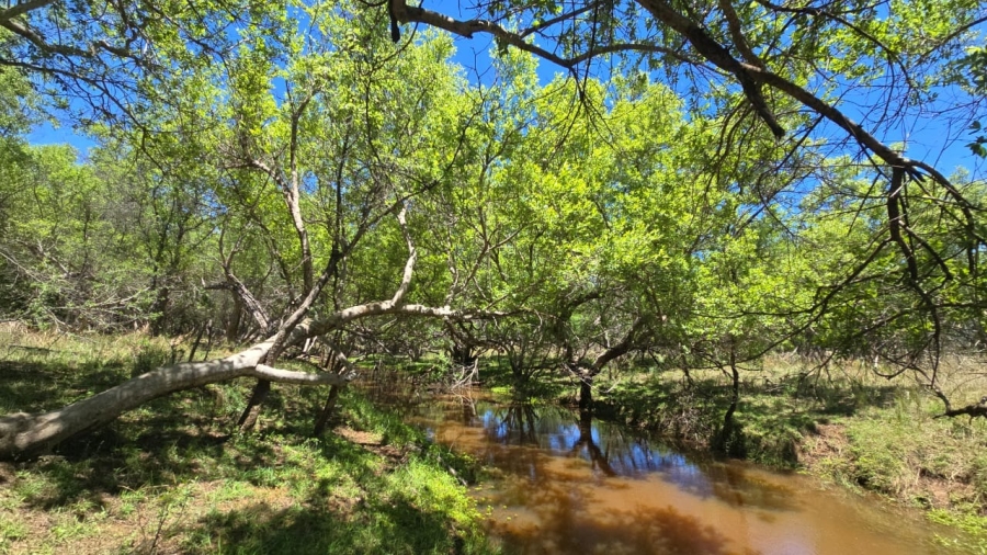 7 Bedroom Property for Sale in Bela Bela Limpopo