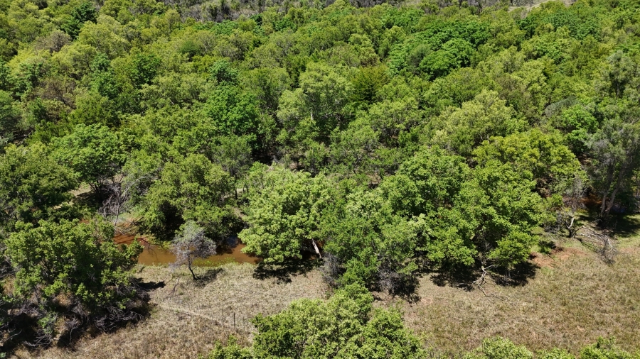 7 Bedroom Property for Sale in Bela Bela Limpopo