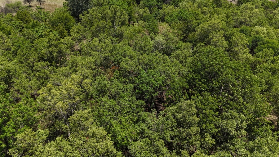 7 Bedroom Property for Sale in Bela Bela Limpopo