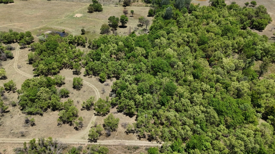 7 Bedroom Property for Sale in Bela Bela Limpopo