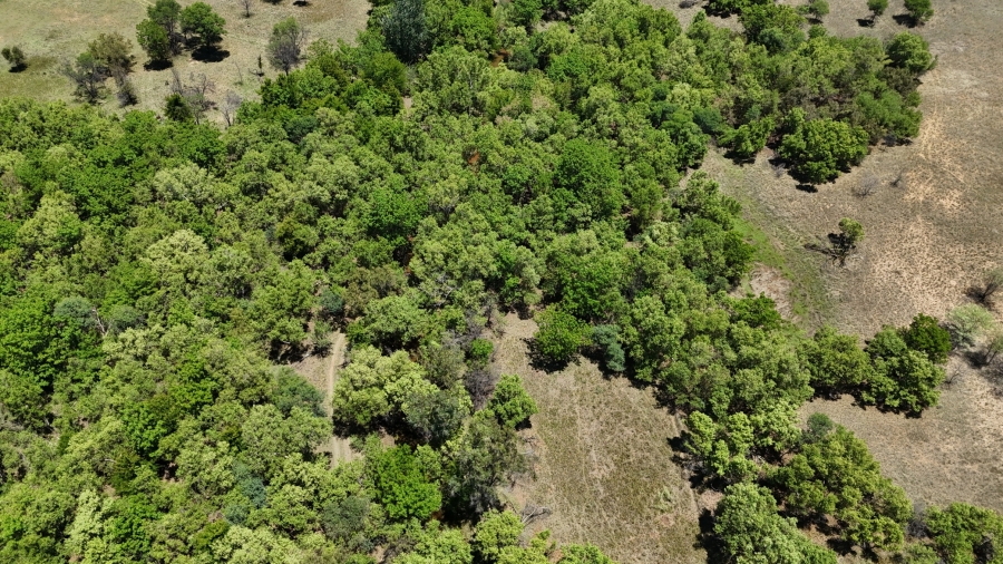 7 Bedroom Property for Sale in Bela Bela Limpopo