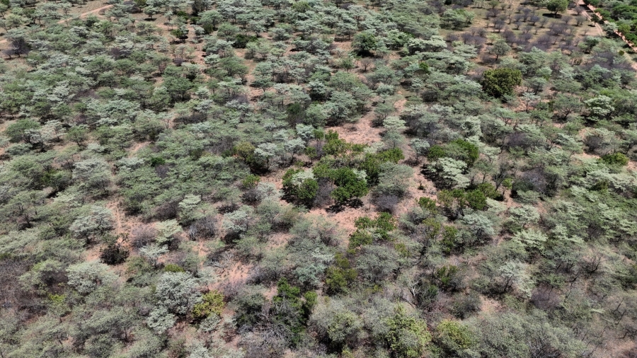 7 Bedroom Property for Sale in Bela Bela Limpopo