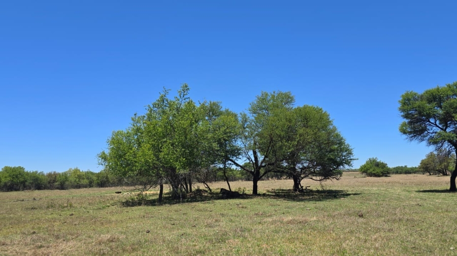 7 Bedroom Property for Sale in Bela Bela Limpopo