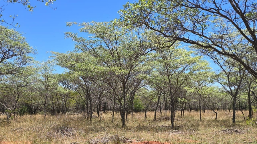 7 Bedroom Property for Sale in Bela Bela Limpopo