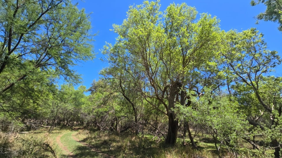 7 Bedroom Property for Sale in Bela Bela Limpopo