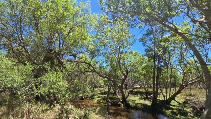 7 Bedroom Property for Sale in Bela Bela Limpopo