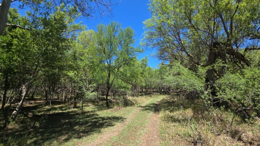 7 Bedroom Property for Sale in Bela Bela Limpopo