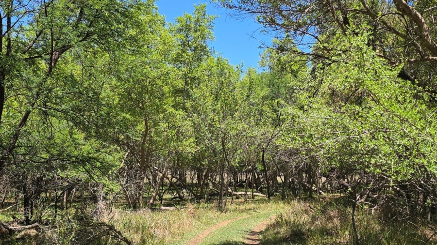 7 Bedroom Property for Sale in Bela Bela Limpopo