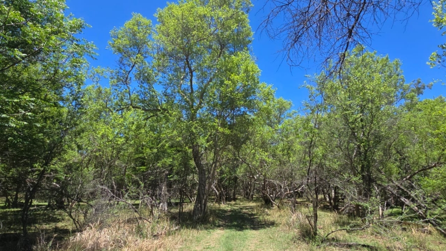 7 Bedroom Property for Sale in Bela Bela Limpopo