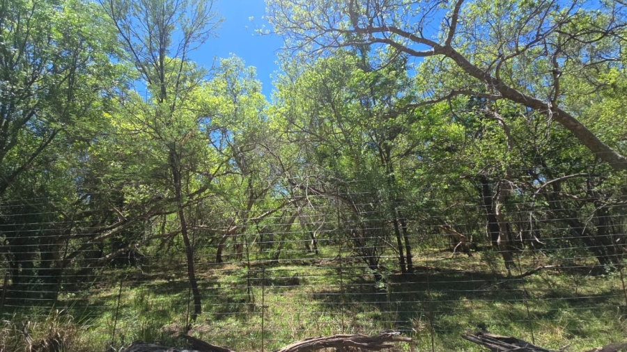 7 Bedroom Property for Sale in Bela Bela Limpopo