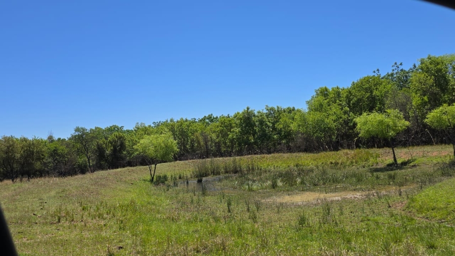 7 Bedroom Property for Sale in Bela Bela Limpopo