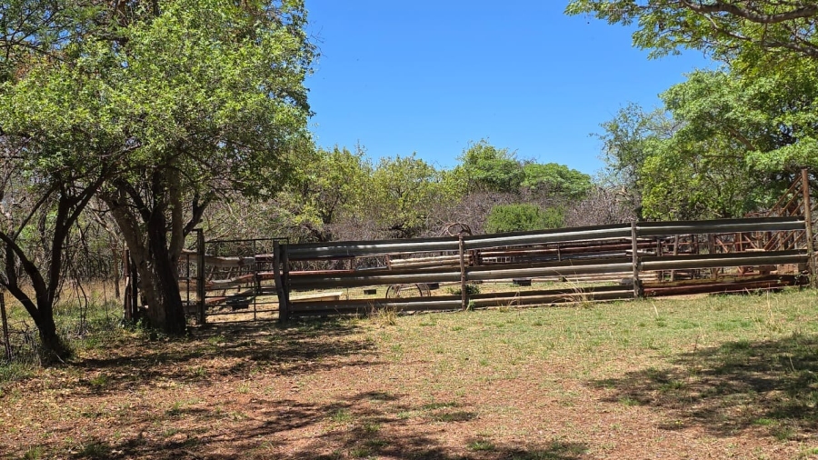 7 Bedroom Property for Sale in Bela Bela Limpopo