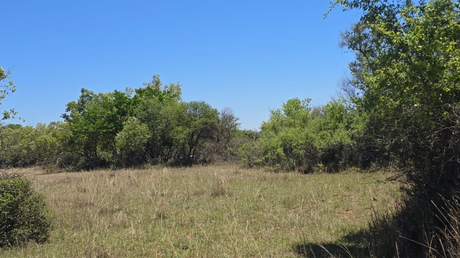 7 Bedroom Property for Sale in Bela Bela Limpopo