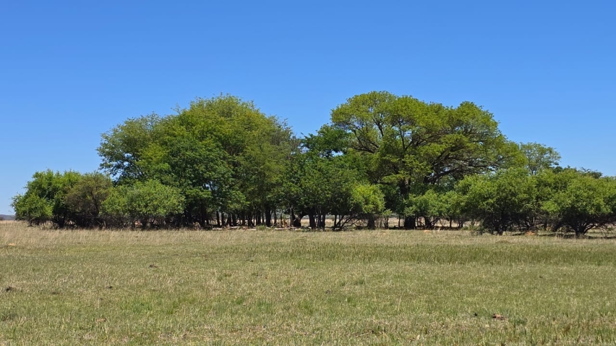 7 Bedroom Property for Sale in Bela Bela Limpopo