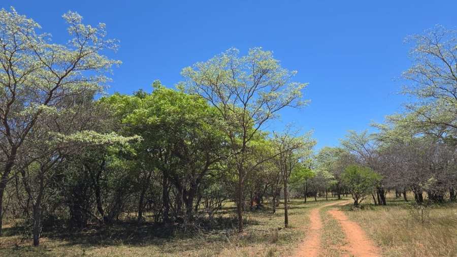 7 Bedroom Property for Sale in Bela Bela Limpopo