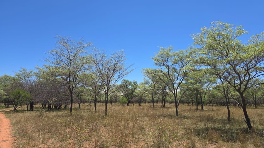 7 Bedroom Property for Sale in Bela Bela Limpopo