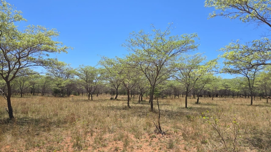 7 Bedroom Property for Sale in Bela Bela Limpopo