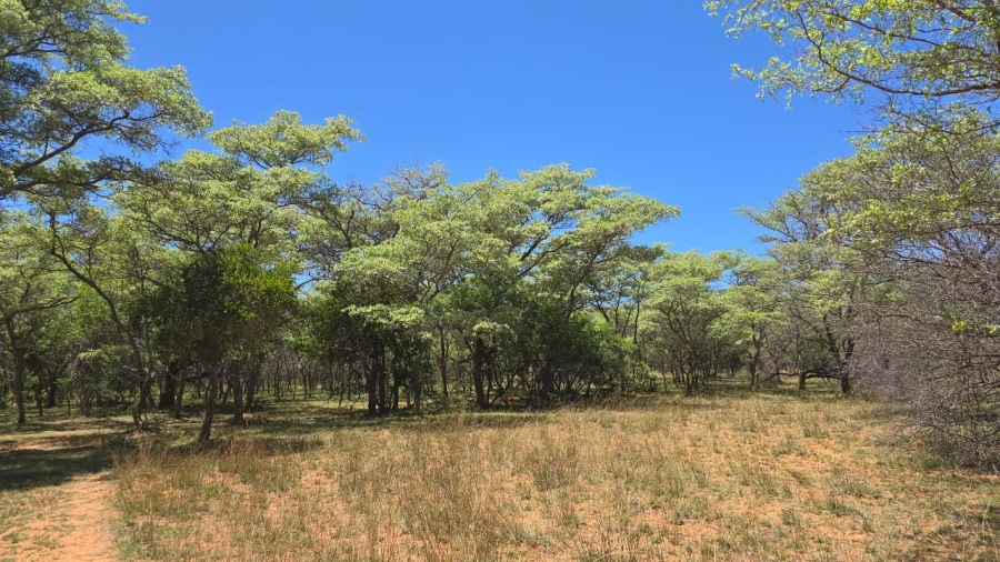 7 Bedroom Property for Sale in Bela Bela Limpopo