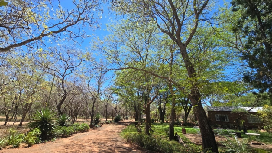 7 Bedroom Property for Sale in Bela Bela Limpopo