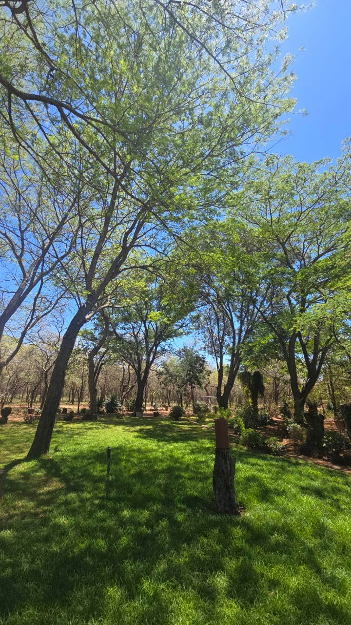 7 Bedroom Property for Sale in Bela Bela Limpopo