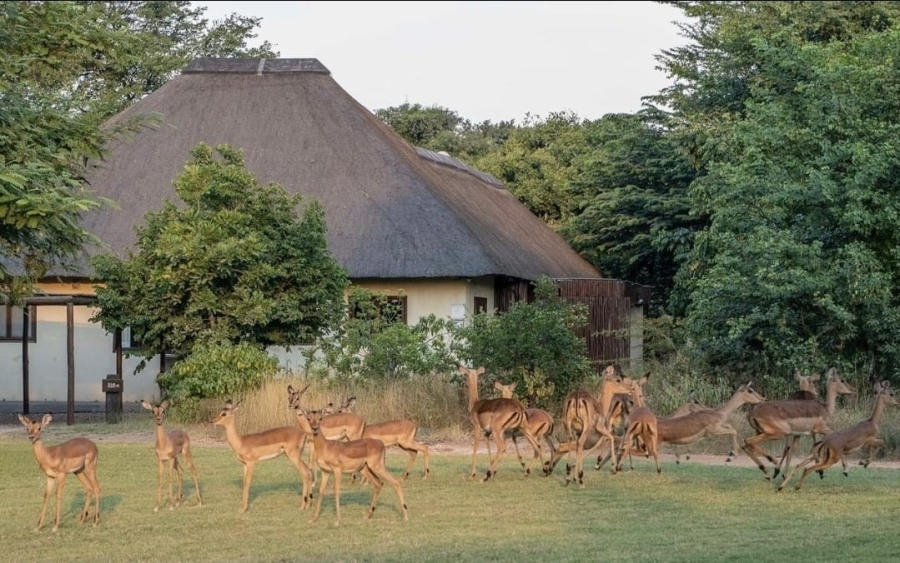 4 Bedroom Property for Sale in Phalaborwa Limpopo