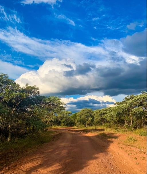 0 Bedroom Property for Sale in Verloren Estate Limpopo