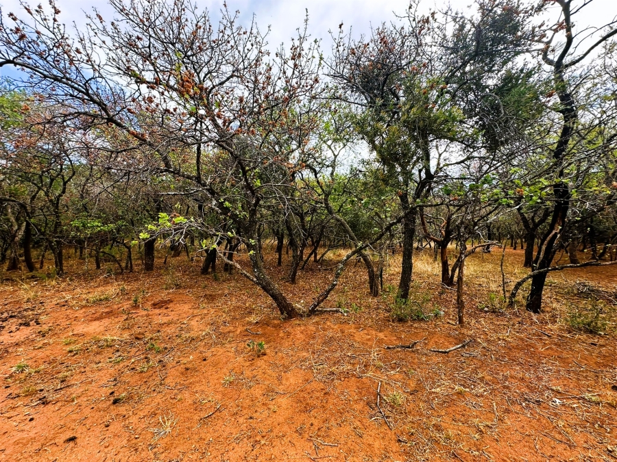 0 Bedroom Property for Sale in Kampersrus Limpopo