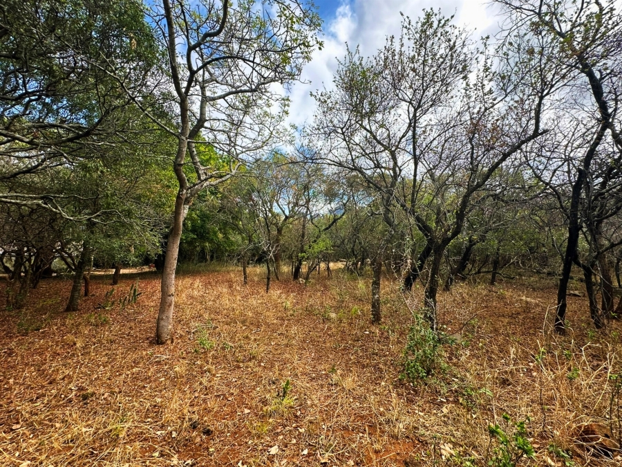 0 Bedroom Property for Sale in Kampersrus Limpopo