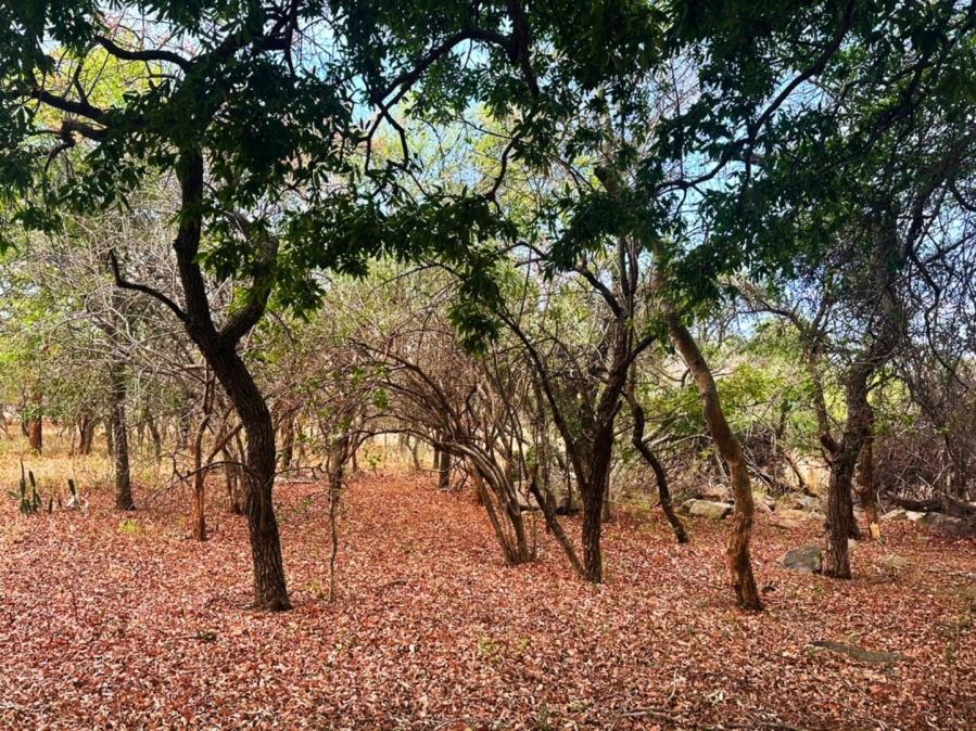 0 Bedroom Property for Sale in Kampersrus Limpopo