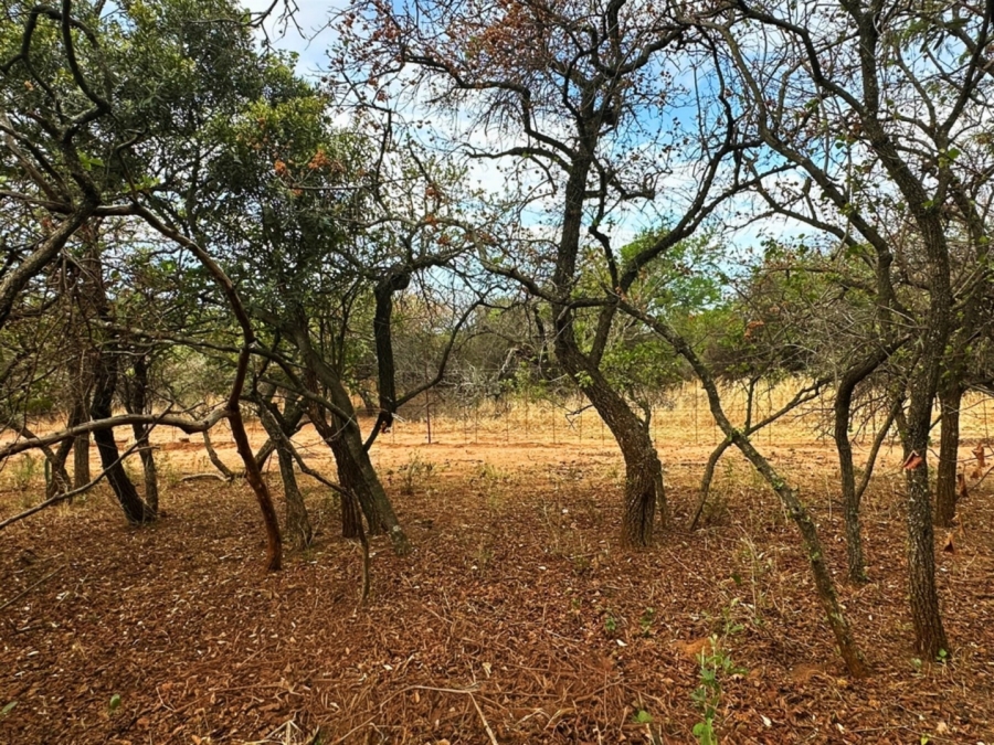 0 Bedroom Property for Sale in Kampersrus Limpopo