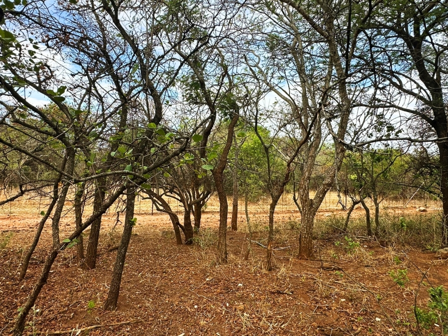 0 Bedroom Property for Sale in Kampersrus Limpopo