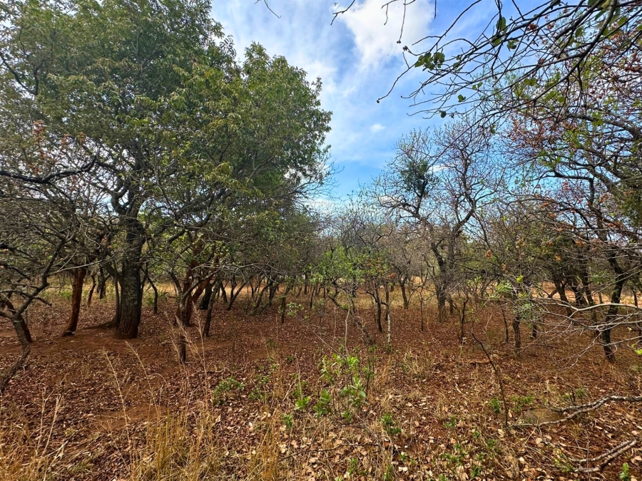 0 Bedroom Property for Sale in Kampersrus Limpopo