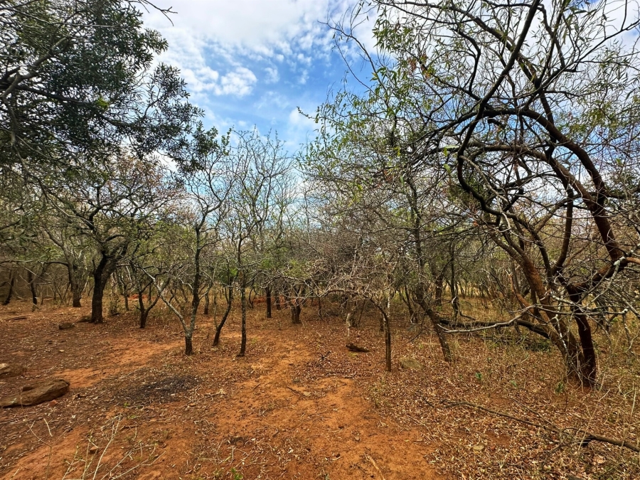 0 Bedroom Property for Sale in Kampersrus Limpopo