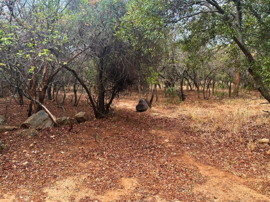 0 Bedroom Property for Sale in Kampersrus Limpopo