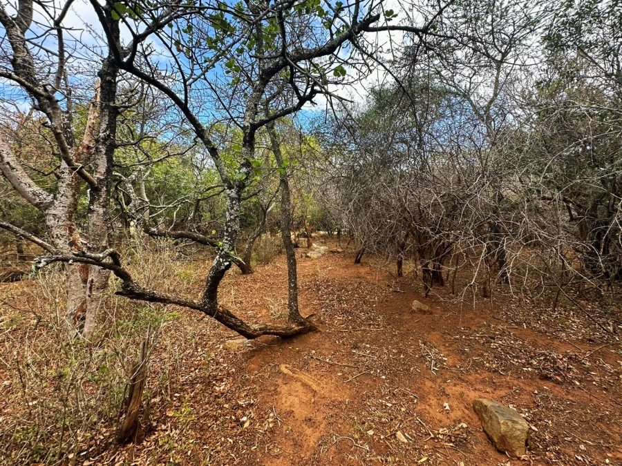 0 Bedroom Property for Sale in Kampersrus Limpopo