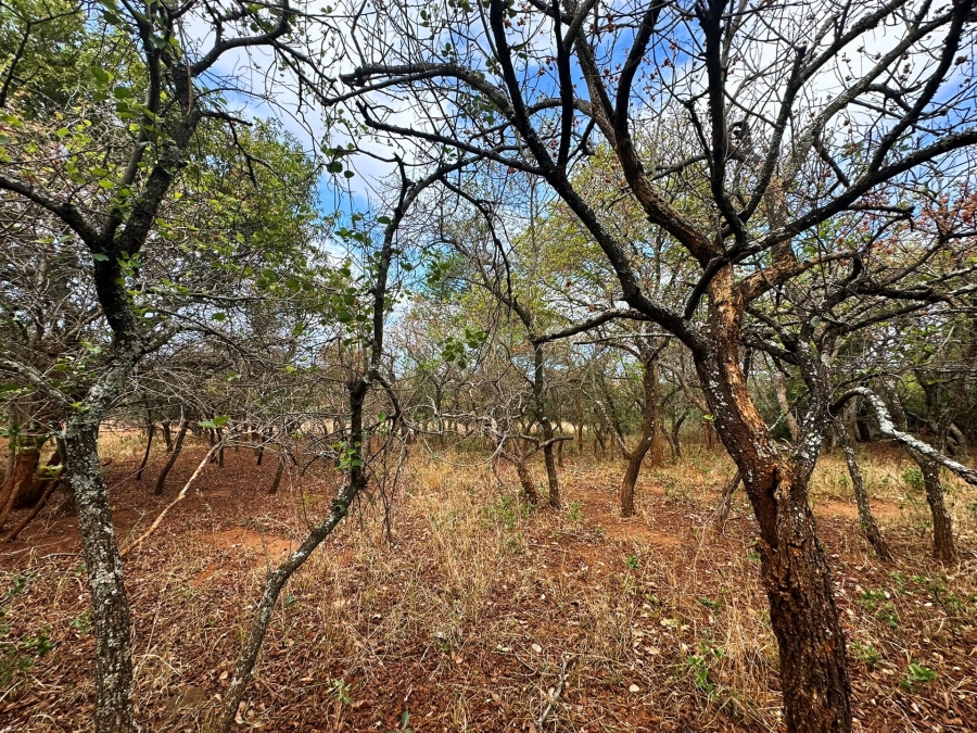 0 Bedroom Property for Sale in Kampersrus Limpopo