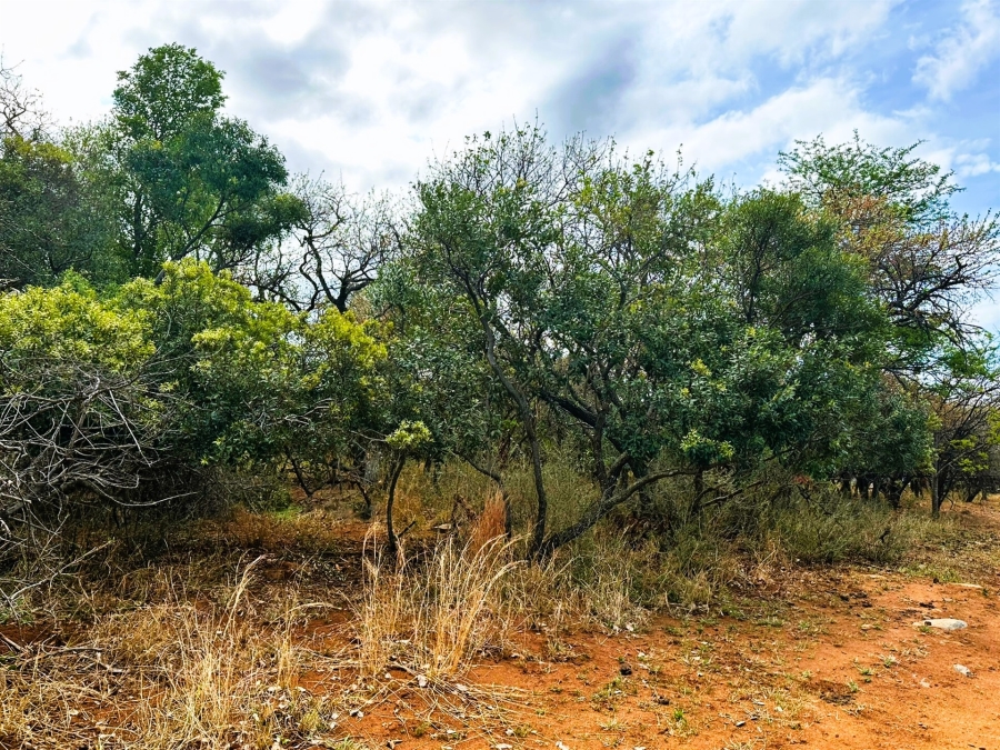 0 Bedroom Property for Sale in Kampersrus Limpopo