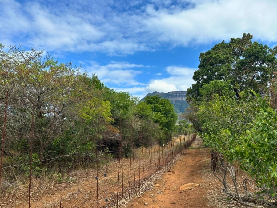 0 Bedroom Property for Sale in Kampersrus Limpopo